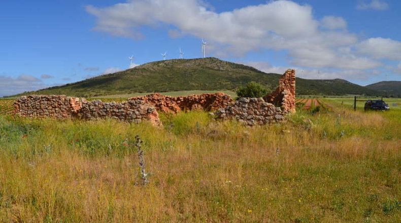 Ciudad Real - La Solana - 130000m2