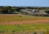 Terreny no urbanitzable en venda a la España, La Solana, ref.: TR112920 foto