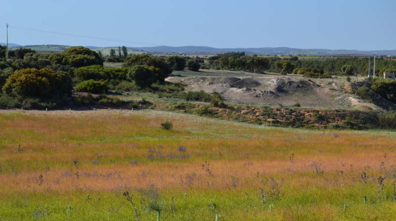 Ciudad Real - La Solana - 130000m2