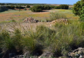 Terreny no urbanitzable en venda a la España, La Solana, ref.: TR112920 foto