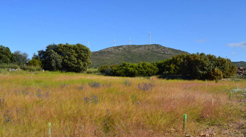 Ciudad Real - La Solana - 130000m2
