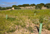 Terreny no urbanitzable en venda a la España, La Solana, ref.: TR112920 foto