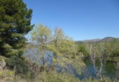 Detached villa with land for sale on España, Xerta, ref: TR269491 photo