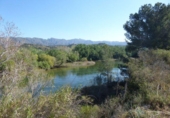 Detached villa with land for sale on España, Xerta, ref: TR269491 photo