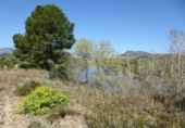 Detached villa with land for sale on España, Xerta, ref: TR269491 photo
