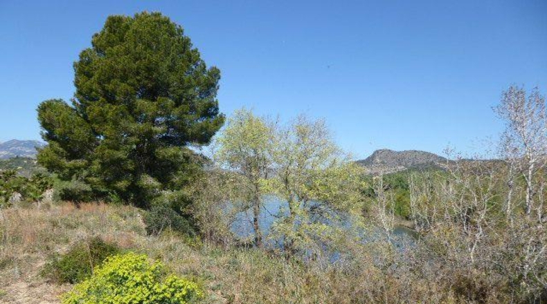 Tarragona - Xerta - 11000m2