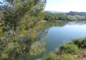 Detached villa with land for sale on España, Xerta, ref: TR269491 photo