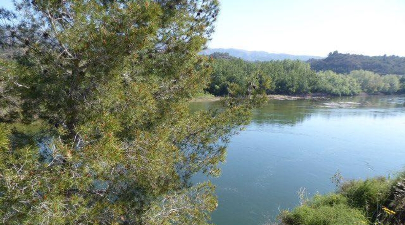 Tarragona - Xerta - 11000m2