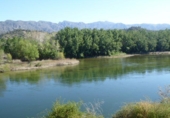 Detached villa with land for sale on España, Xerta, ref: TR269491 photo