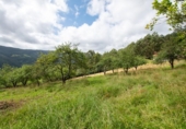 Finca rústica en venda a la España, Villaviciosa, ref.: TR313996 foto