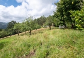 Finca rústica en venda a la España, Villaviciosa, ref.: TR313996 foto