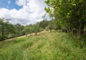 Finca rústica en venda a la España, Villaviciosa, ref.: TR313996 foto