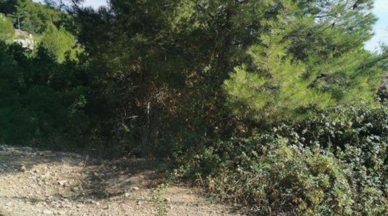 Tarragona - la Pobla de Montornès - 1106m2
