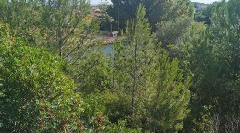 Tarragona - la Pobla de Montornès - 1106m2