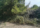 Sòl urbà en venda a la España, la Pobla de Montornès, ref.: TR341389 foto