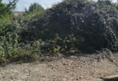 Sòl urbà en venda a la España, la Pobla de Montornès, ref.: TR341389 foto