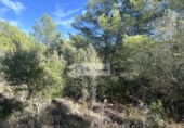 Terreny no urbanitzable en venda a la España, el Perelló, ref.: TR342748 foto