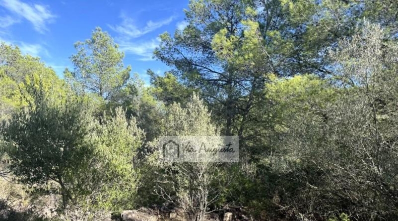 Таррагона - el Perelló - 114550m2