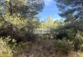 Terreny no urbanitzable en venda a la España, el Perelló, ref.: TR342748 foto
