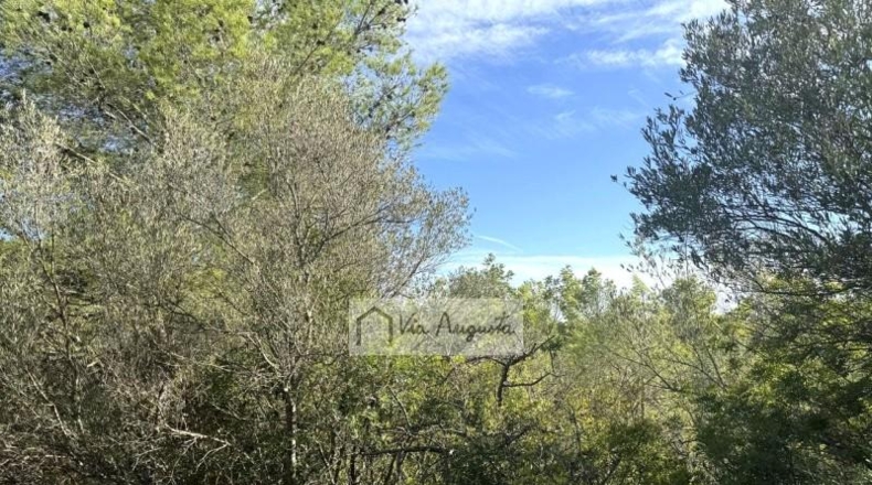 Таррагона - el Perelló - 114550m2
