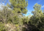 Terreny no urbanitzable en venda a la España, el Perelló, ref.: TR342748 foto