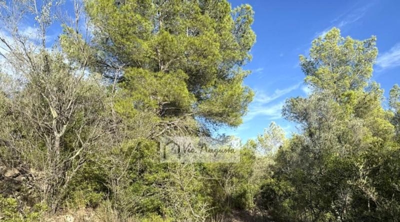 Таррагона - el Perelló - 114550m2
