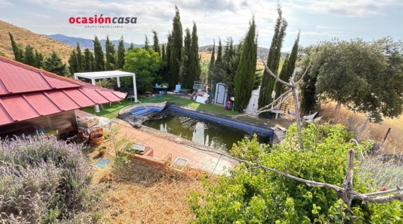 Córdoba - Villanueva del Rey - 1825m2