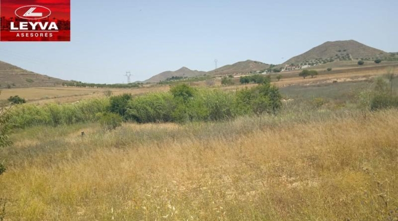 Murcia - Картахена - 1000m2