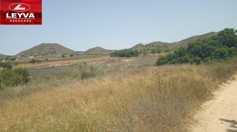 Murcia - Картахена - 1000m2