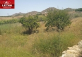 Casa de camp amb terreny en venda a la España, Cartagena, ref.: TR271811 foto