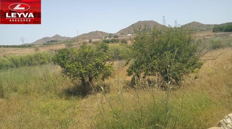 Murcia - Картахена - 1000m2
