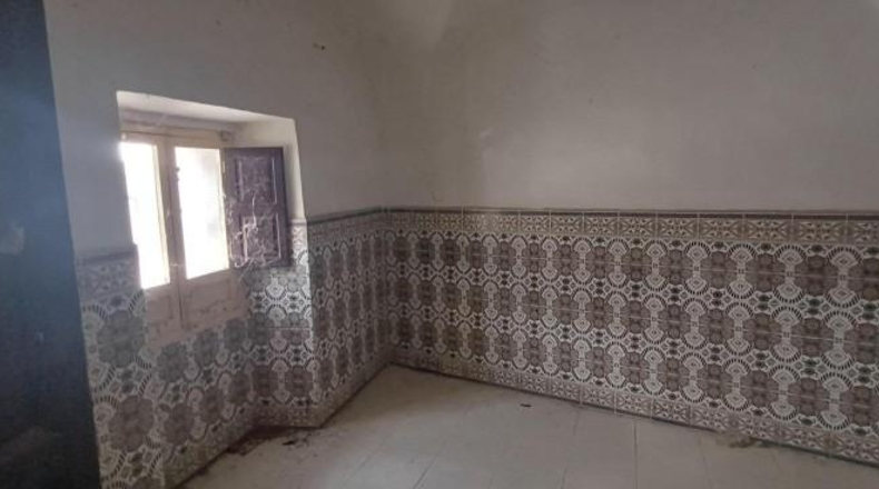 Caceres - Alcuéscar - 534m2