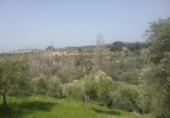 Non-developable land for sale on España, Granada, ref: TR325330 photo