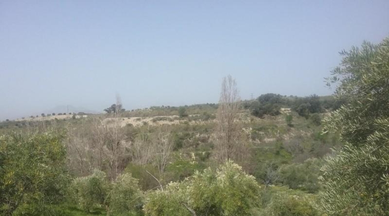Granada - Granada - 21763m2