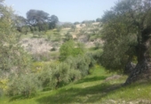 Non-developable land for sale on España, Granada, ref: TR325330 photo