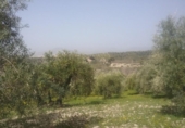 Non-developable land for sale on España, Granada, ref: TR325330 photo