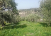 Non-developable land for sale on España, Granada, ref: TR325330 photo