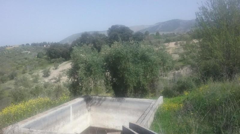 Granada - Granada - 21763m2