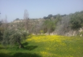 Non-developable land for sale on España, Granada, ref: TR325330 photo