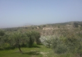 Non-developable land for sale on España, Granada, ref: TR325330 photo