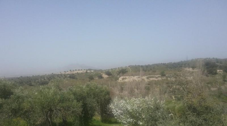 Granada - Granada - 21763m2