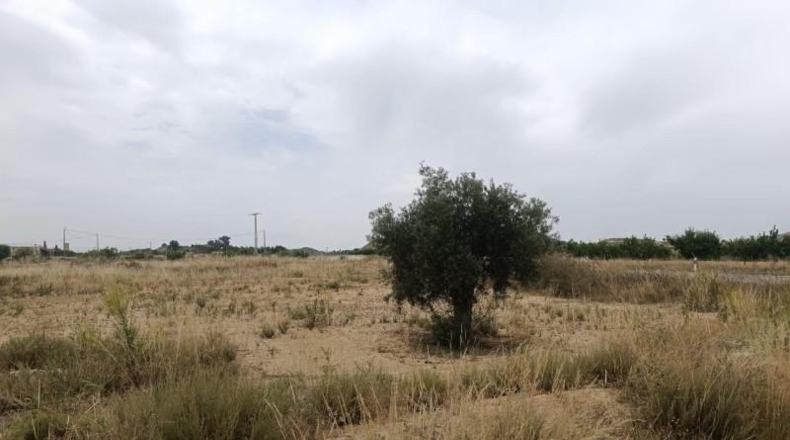 Мурсия - Lorca - 1000m2