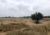 Parcel·la urbanitzable en venda a la España, Lorca, ref.: TR318710 foto
