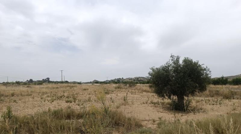 Мурсия - Lorca - 1000m2