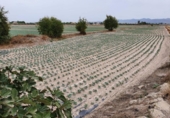 Parcel·la urbanitzable en venda a la España, Lorca, ref.: TR174970 foto
