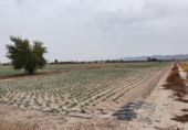 Parcel·la urbanitzable en venda a la España, Lorca, ref.: TR174970 foto