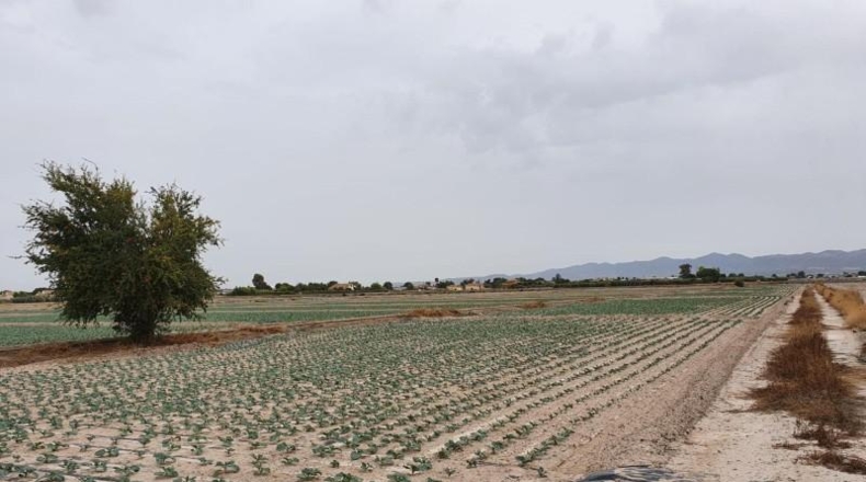 Murcia - Lorca - 5660m2