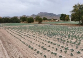 Parcel·la urbanitzable en venda a la España, Lorca, ref.: TR174970 foto