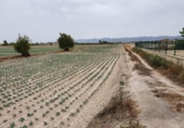 Parcel·la urbanitzable en venda a la España, Lorca, ref.: TR174970 foto