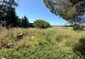 Xalet independent amb terreny en venda a la España, Chiclana de la Frontera, ref.: TR279813 foto